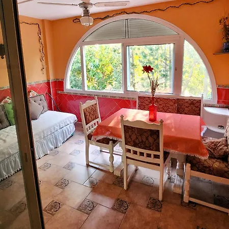 Sunflower House Apartment *